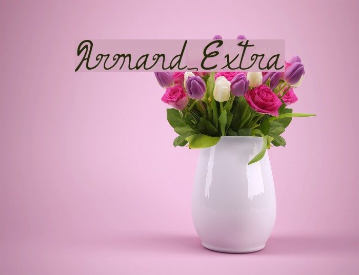 Armand_Extra Example 1