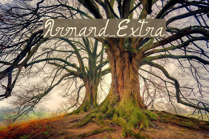 Armand_Extra Example 2