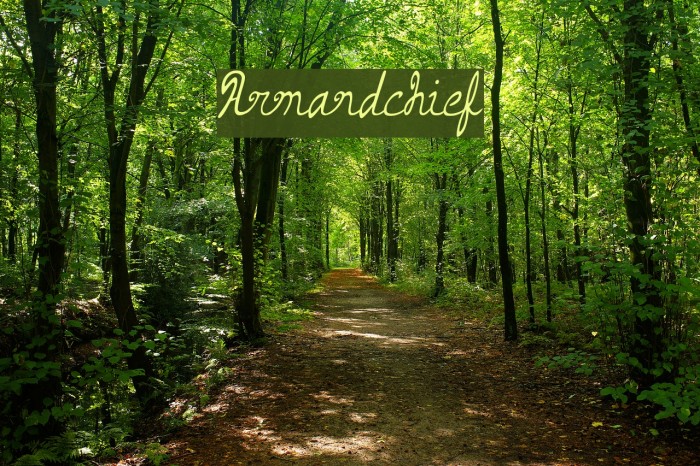 Armand_chief Font examples