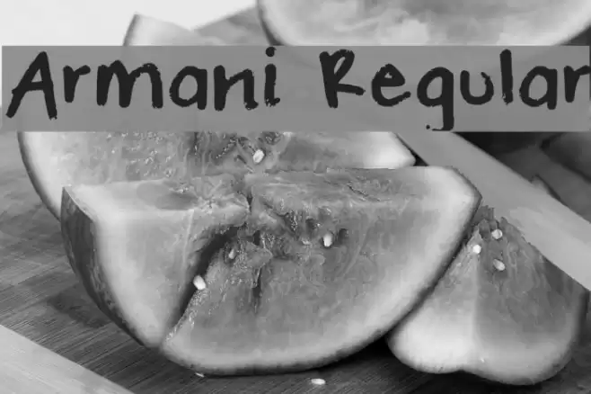 Armani Regular Font examples