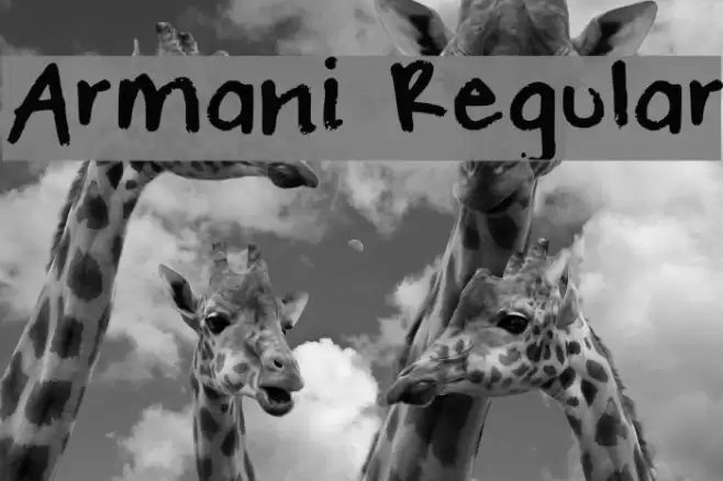 Armani Regular Font examples