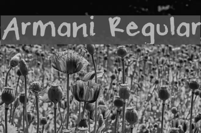 Armani Regular Font examples