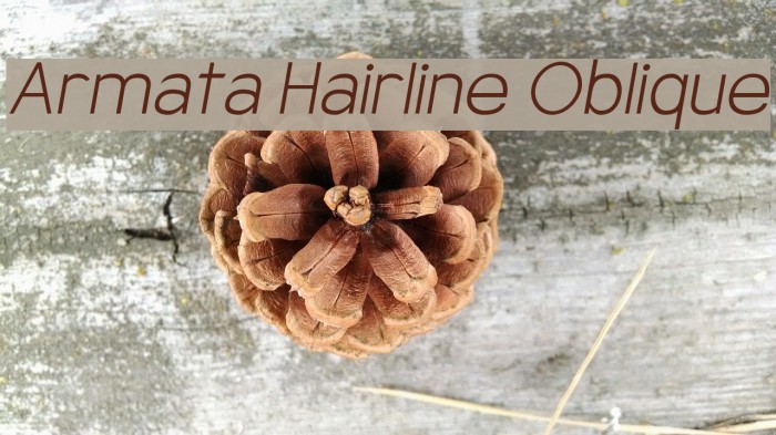 Armata Hairline Oblique Font examples
