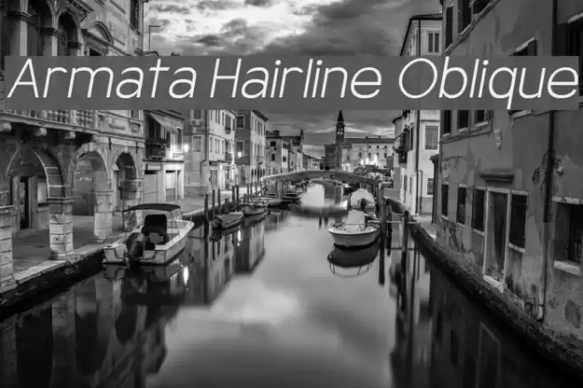 Armata Hairline Oblique Font examples