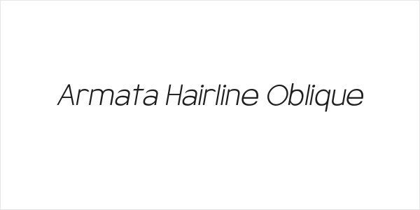 Armata Hairline Oblique Logo