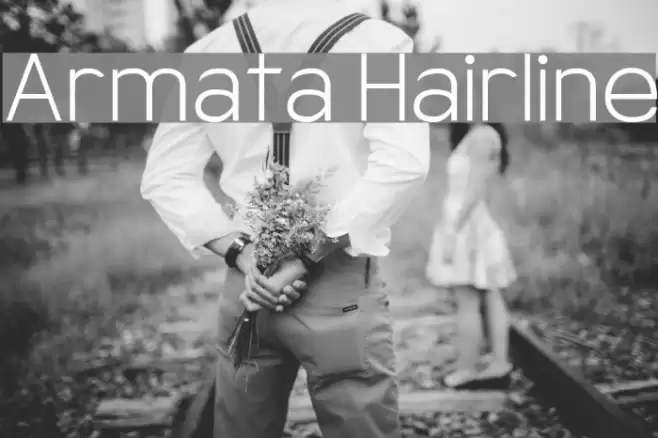 Armata Hairline Font examples
