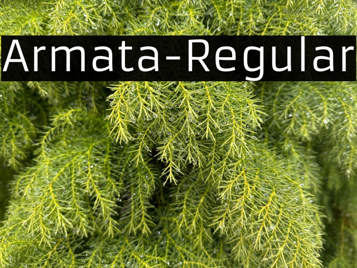 Armata-Regular Example 1