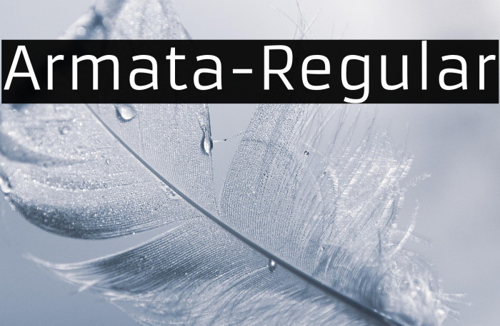 Armata-Regular Example 3