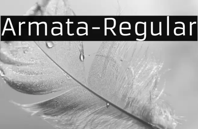 Armata-Regular Font examples