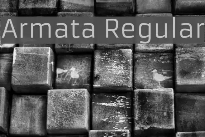 Armata Regular Font examples