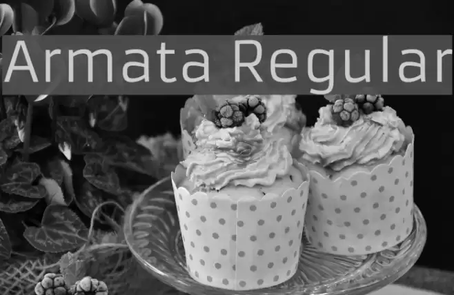 Armata Regular Font examples