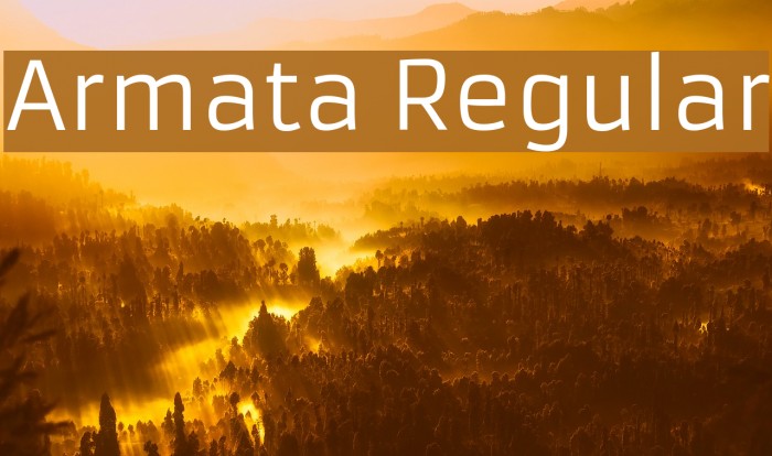 Armata Regular Font examples