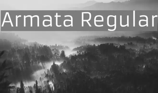 Armata Regular Font examples