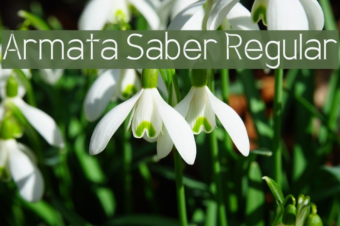 Armata Saber Regular Font examples