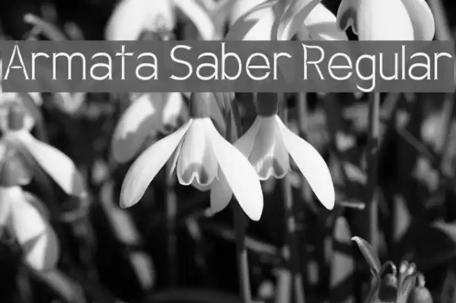 Armata Saber Regular Polices examples