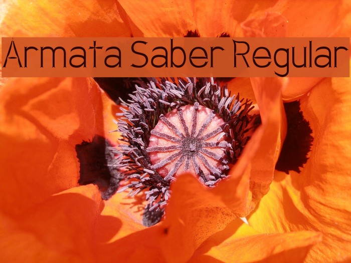 Armata Saber Regular Font examples