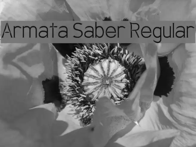 Armata Saber Regular Polices examples