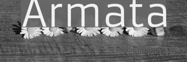 Armata Font examples