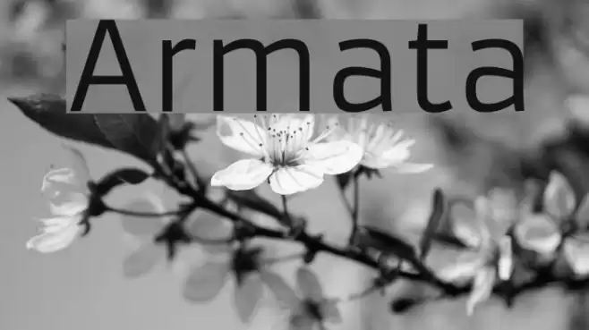 Armata Font examples