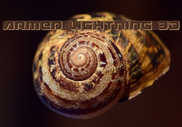 Armed Lightning 3D Example 3