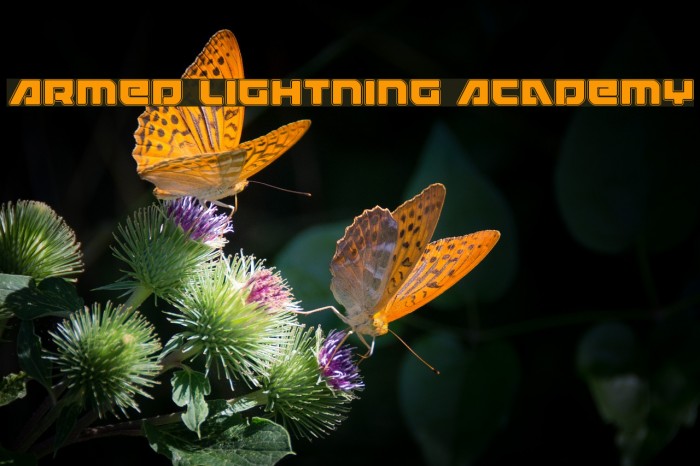 Armed Lightning Academy Font examples
