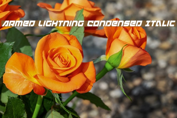 Armed Lightning Condensed Italic Example 3