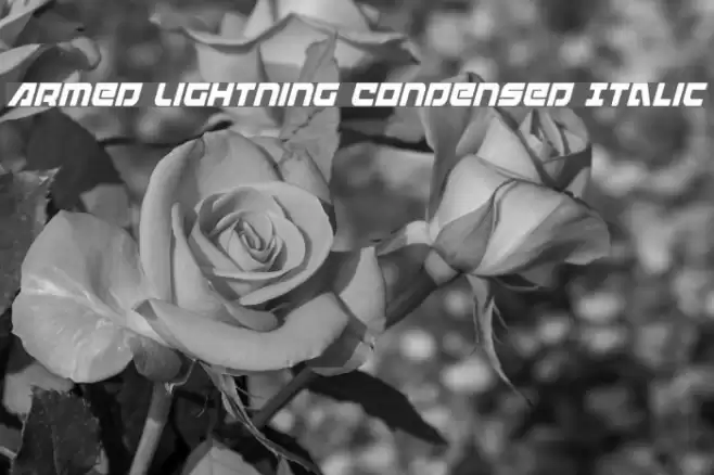 Armed Lightning Condensed Italic Font examples