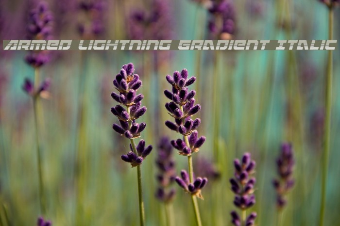 Armed Lightning Gradient Italic Example 1