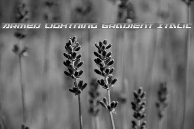 Armed Lightning Gradient Italic Font examples
