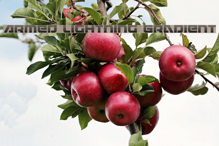 Armed Lightning Gradient Example 1