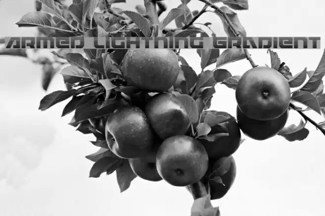 Armed Lightning Gradient Font examples