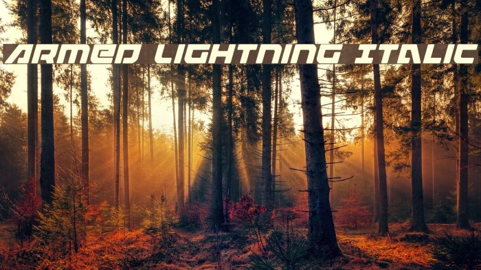 Armed Lightning Italic Font examples