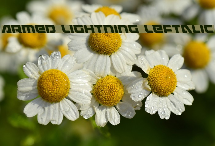 Armed Lightning Leftalic Font examples