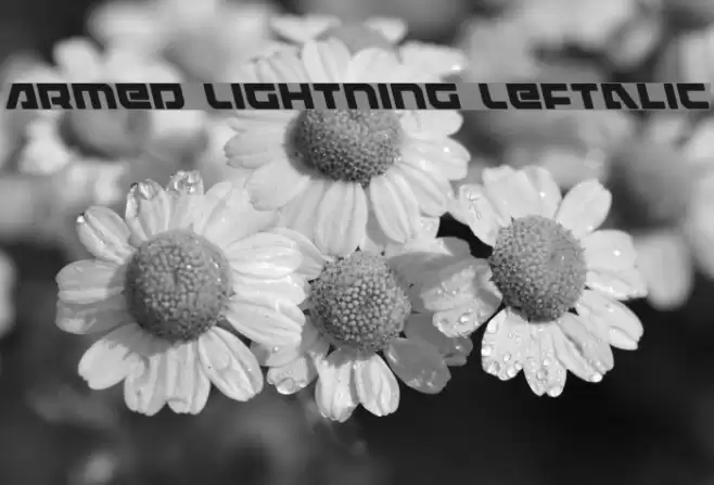 Armed Lightning Leftalic Fonte examples