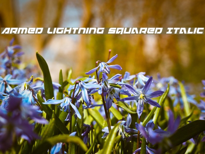 Armed Lightning Squared Italic Font examples