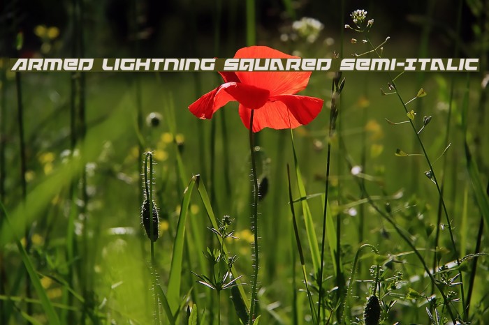 Armed Lightning Squared Semi-Italic Font examples