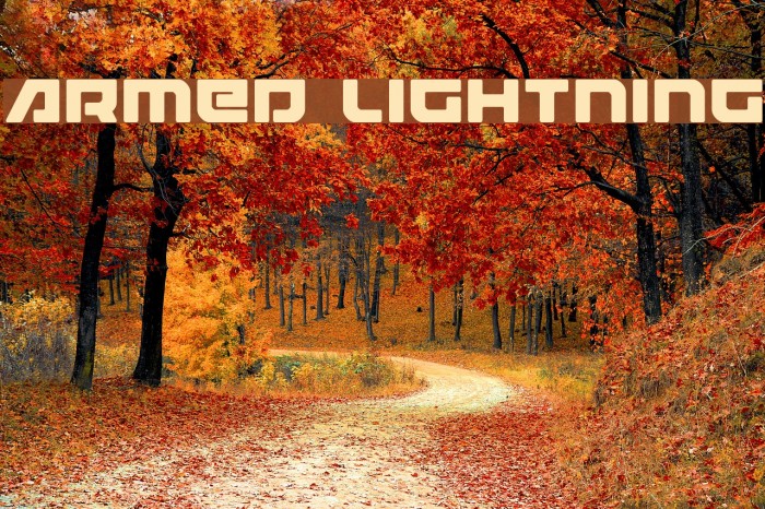 Armed Lightning Font examples