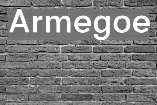 Armegoe Example 1
