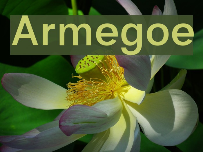 Armegoe Font examples