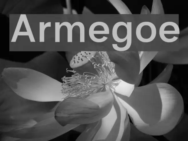 Armegoe Example 2