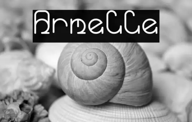 Armelle Font examples