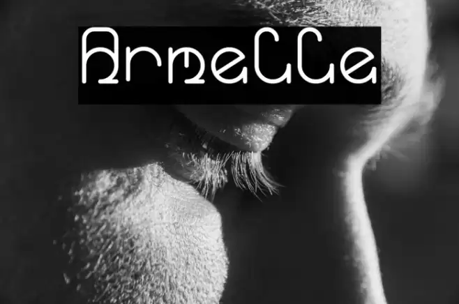 Armelle Font examples