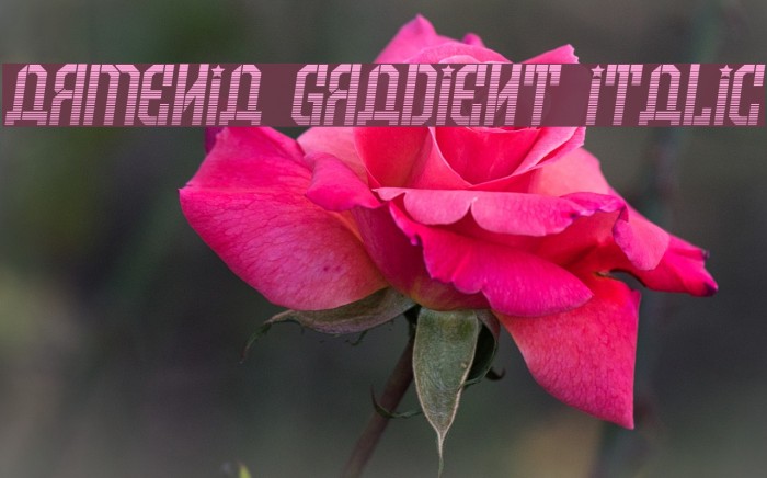 Armenia Gradient Italic Font examples