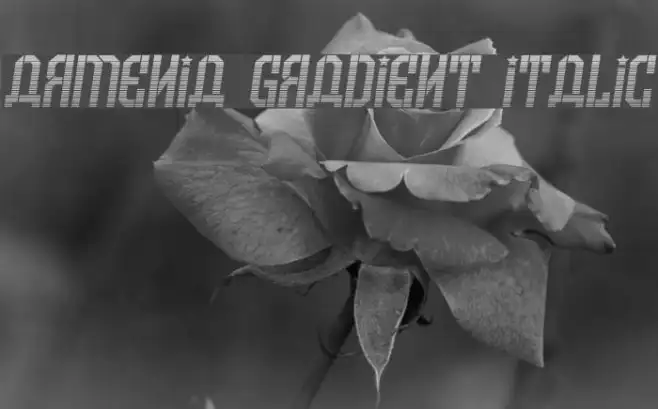 Armenia Gradient Italic Example 2