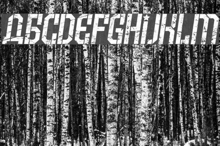 Armenia Grunge Italic Font examples