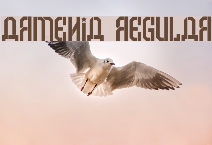 Armenia Regular Font examples
