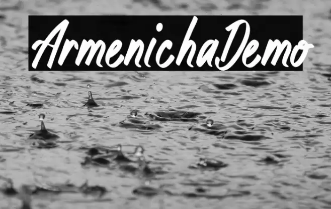 ArmenichaDemo Font examples