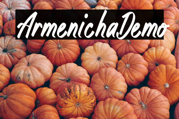 ArmenichaDemo Example 2