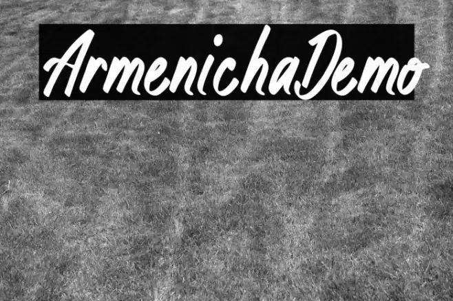 ArmenichaDemo Font examples