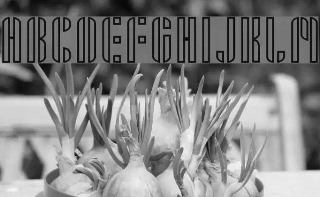 Armin フォント examples